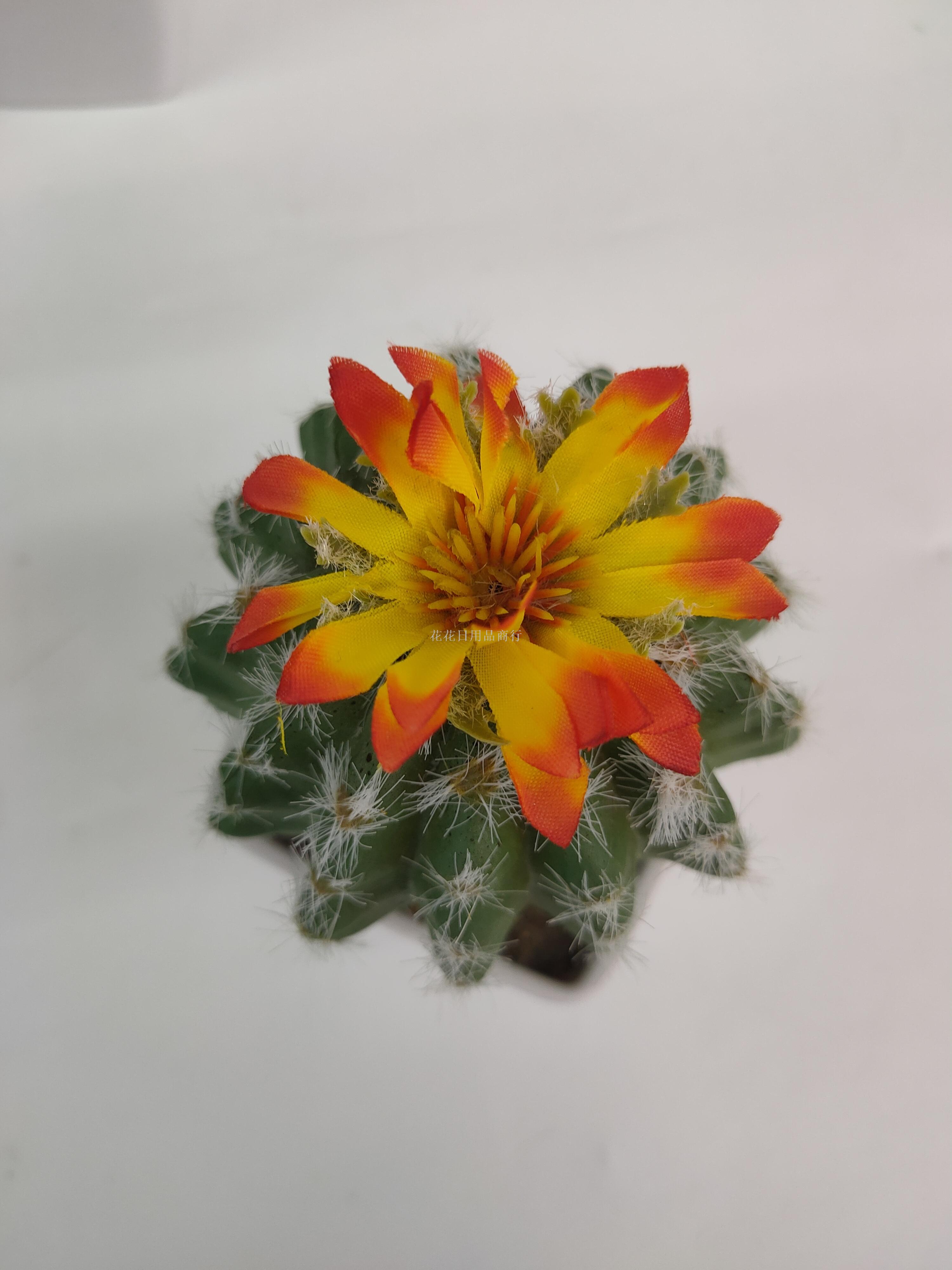 日用百货白底实物图