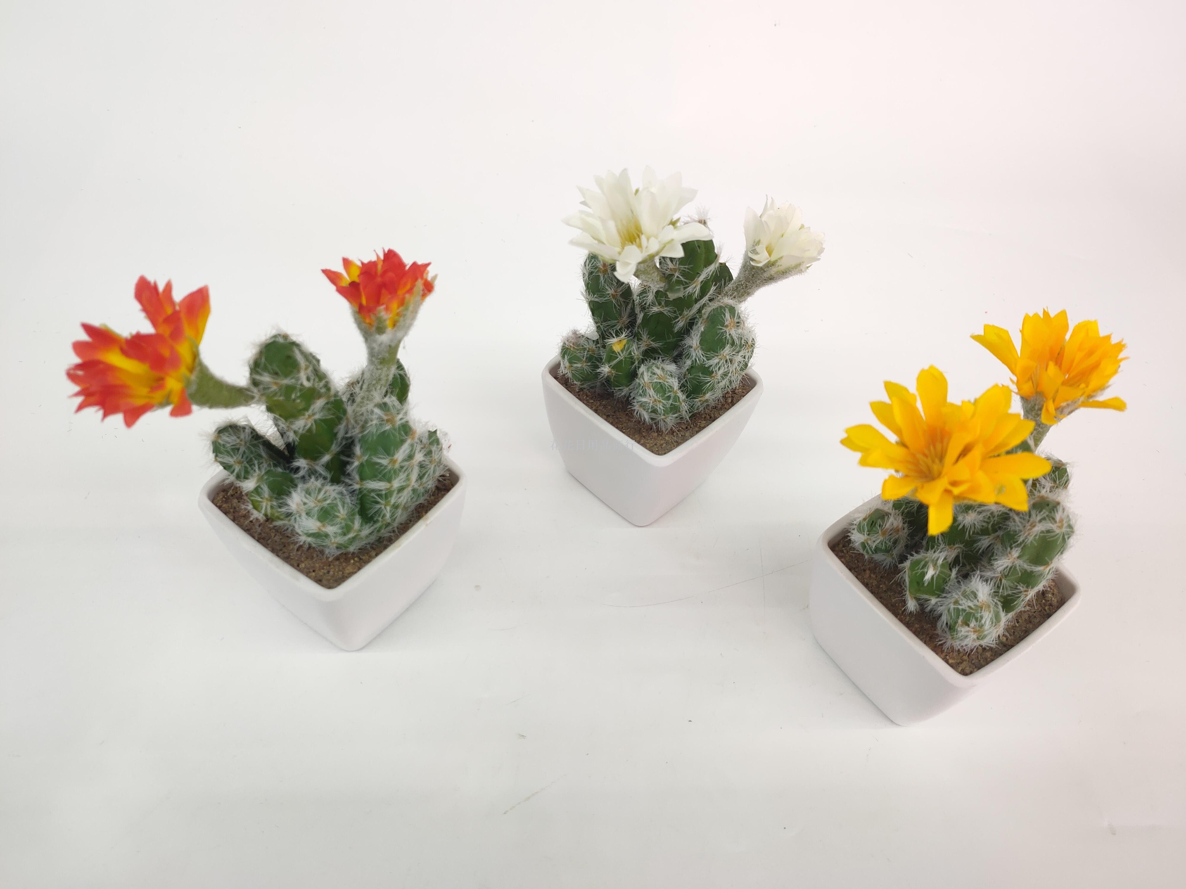 日用百货产品图