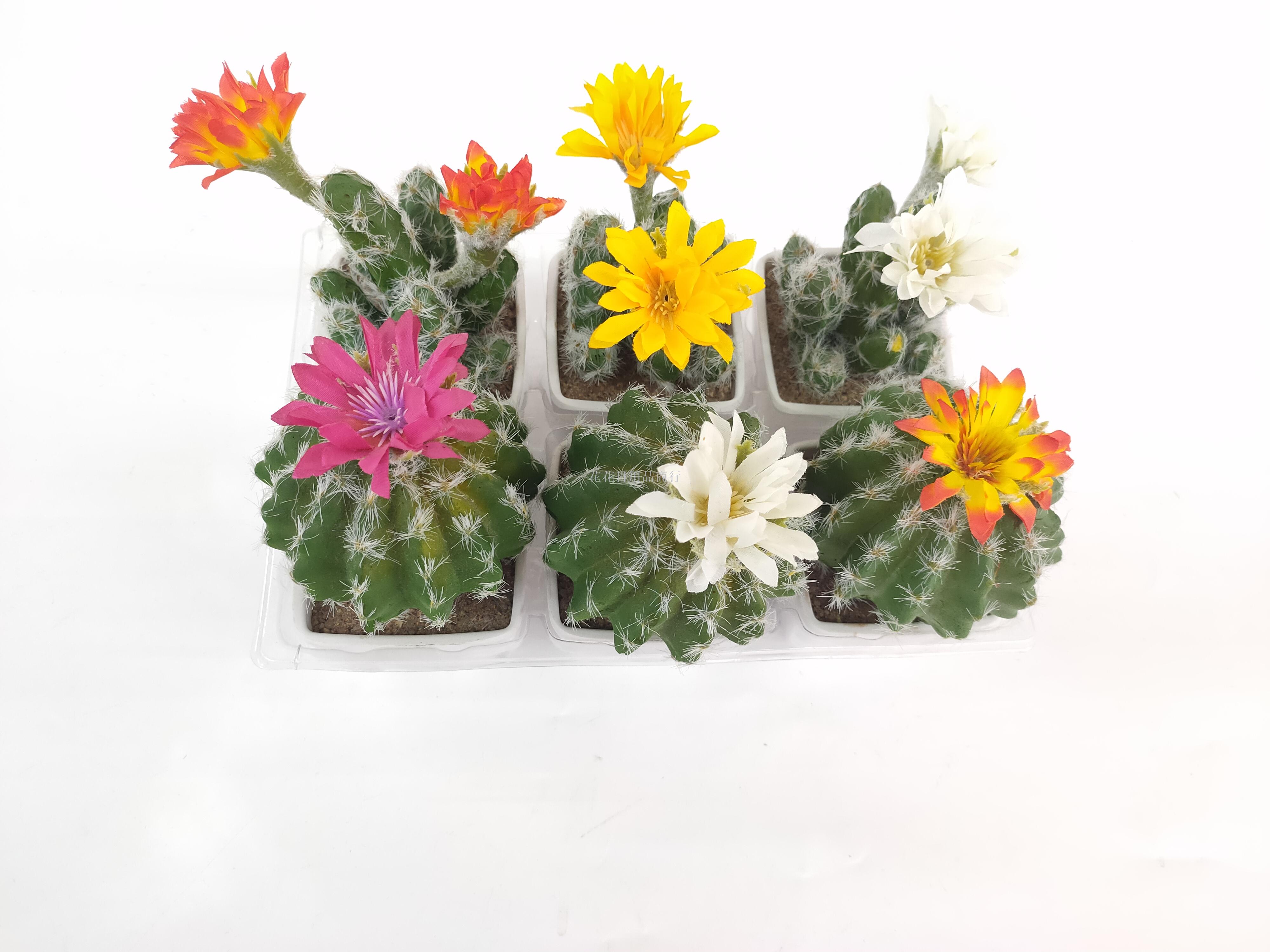 新款白色盆仙人掌仙人球盆景仿真植物花沙漠盆景工艺