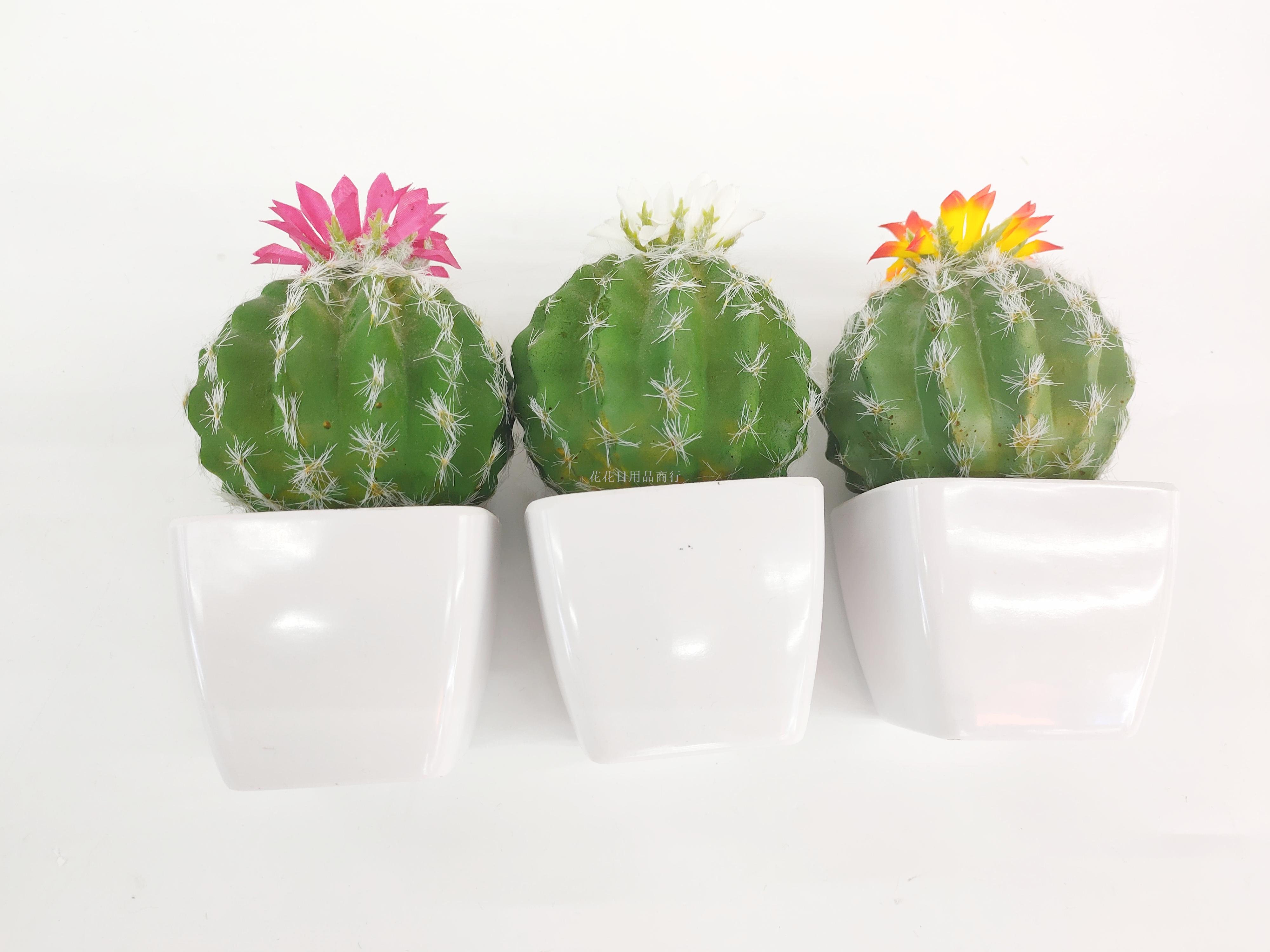 仿真植物实物图