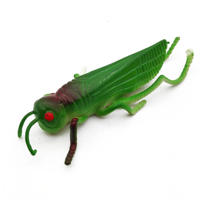B1545 simulated grasshopper street stall intimidation and prank toys are available for wholesale at 2-yuan stores in Yiwu Item Picture