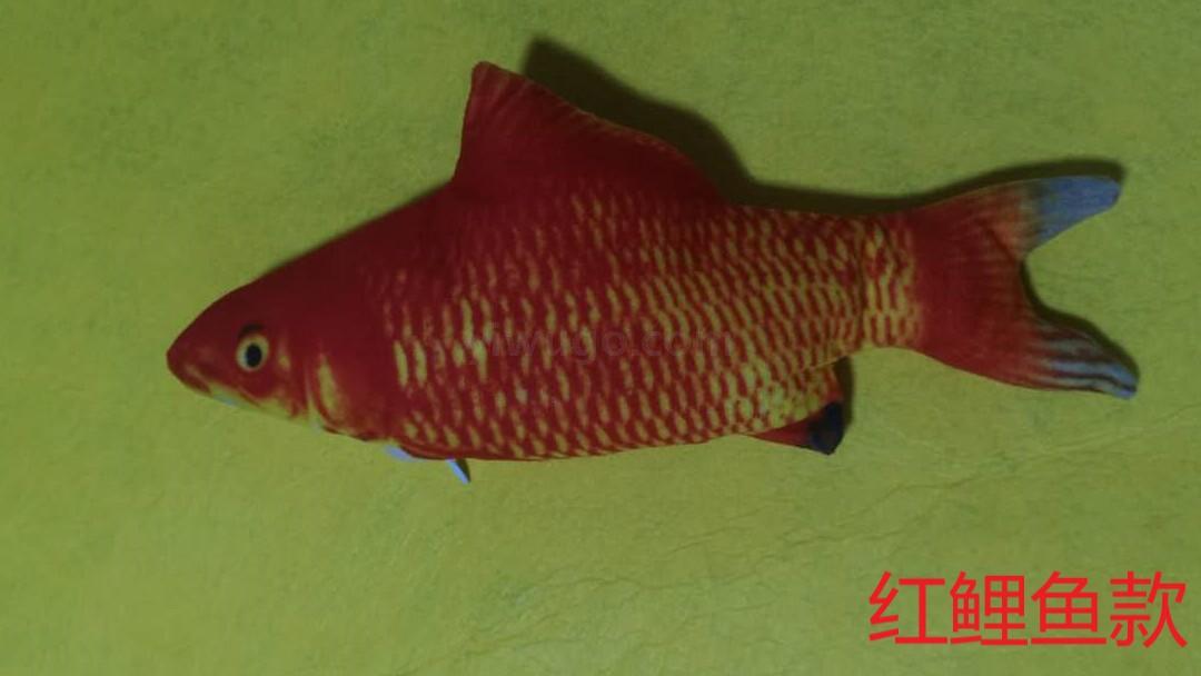 The new best-selling fish swing fish plush electric cat toy, a simulated fish that can jump, is selling well Specification drawing