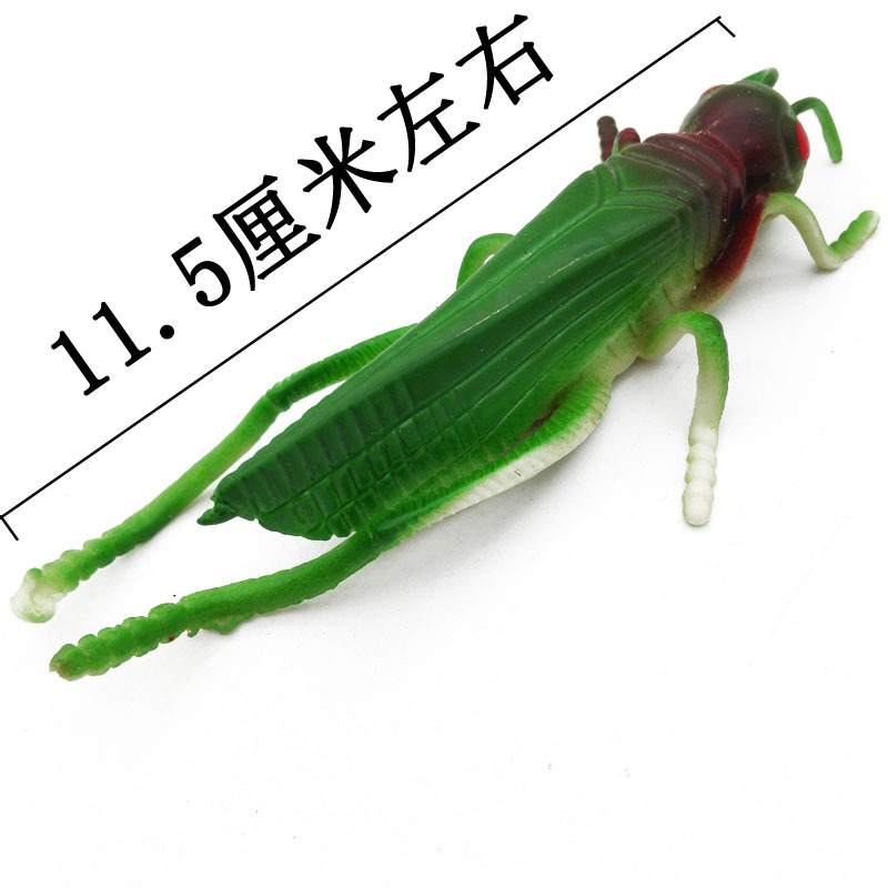 B1545 simulated grasshopper street stall intimidation and prank toys are available for wholesale at 2-yuan stores in Yiwu Application Scenario