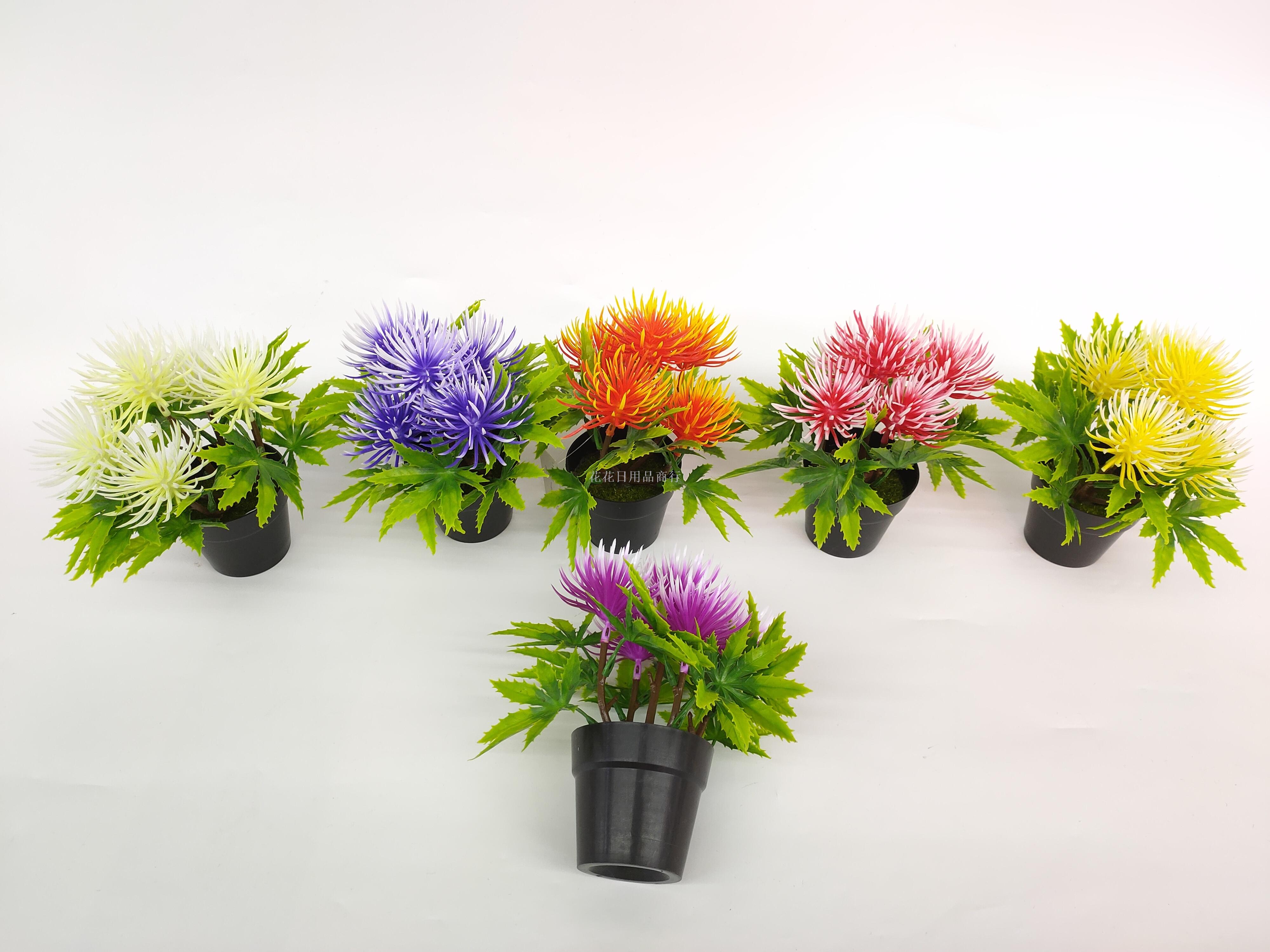 新款黑色盆彩色蒲公英仿真花盆景公司酒店装饰摆件假花