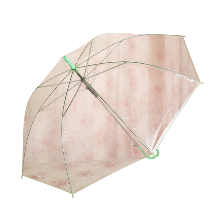 Wholesale of colorful transparent umbrellas, eco-friendly umbrellas, automatic long-handled gift umbrellas, advertising umbrellas, ten-yuan store supply Item Picture