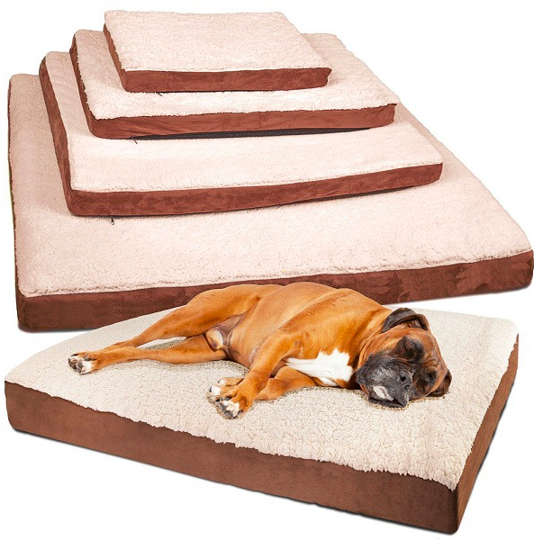 Amazon's best-selling cross-border pet MATS, dog MATS and sponge MATS are comfortable and soft, and are selling well full figure