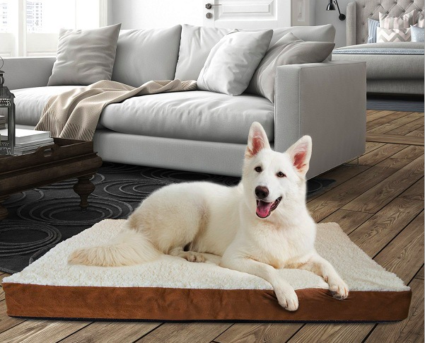 Amazon's best-selling cross-border pet MATS, dog MATS and sponge MATS are comfortable and soft, and are selling well details Picture