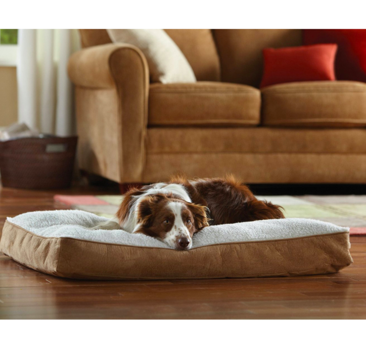 Amazon's best-selling cross-border pet MATS, dog MATS and sponge MATS are comfortable and soft, and are selling well Item Picture