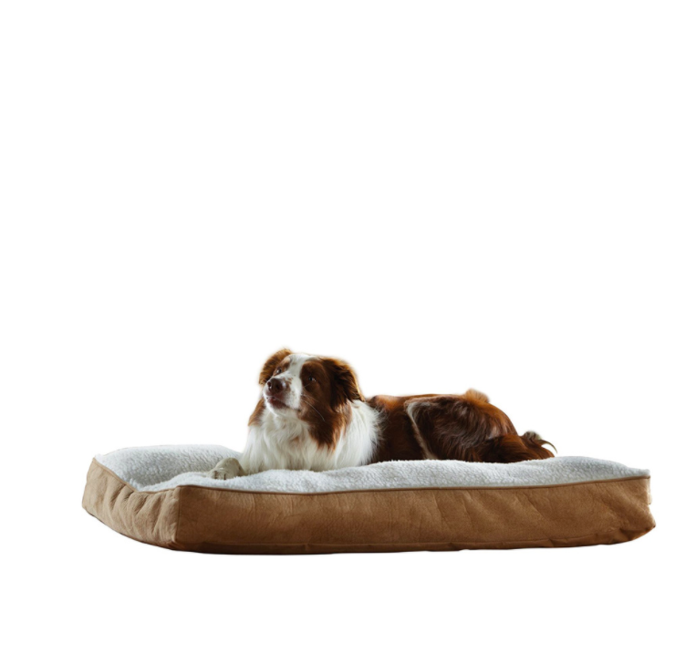 Amazon's best-selling cross-border pet MATS, dog MATS and sponge MATS are comfortable and soft, and are selling well Application Scenario