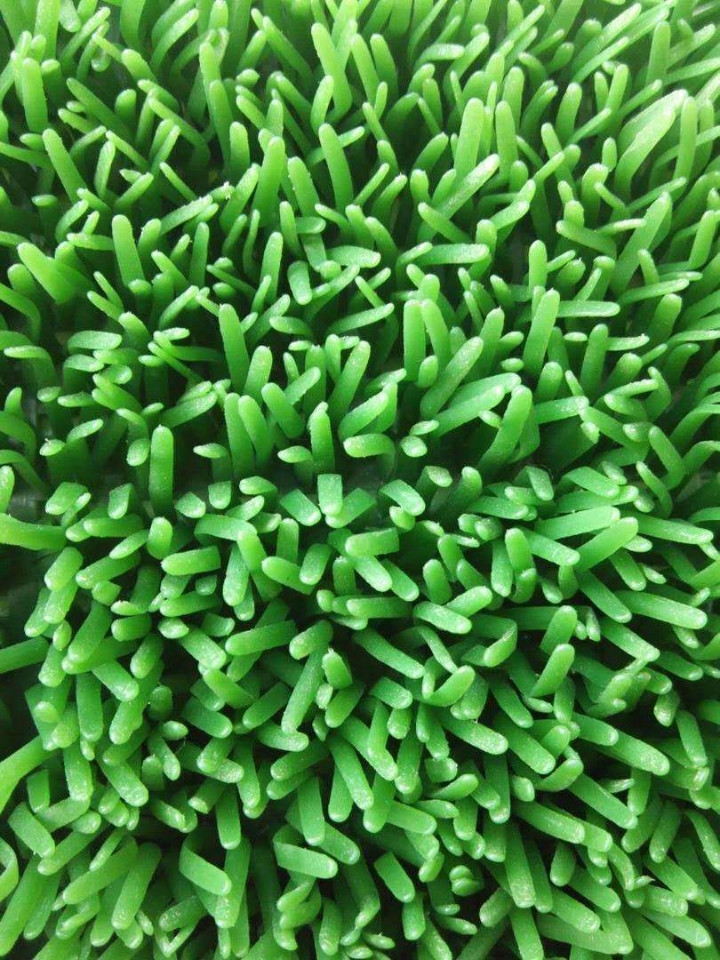 Gold panning lawn mat