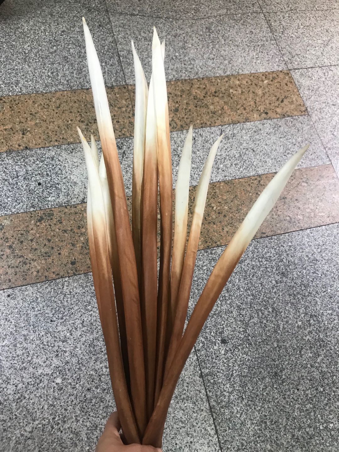 EVA假花PU手感仿真芦荟插花瓶摆件希腊复古欧式ins风拍摄道具