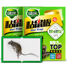 1 绿叶GL1045粘鼠板 GL02106粘鼠板老鼠贴粘鼠胶大捕鼠板