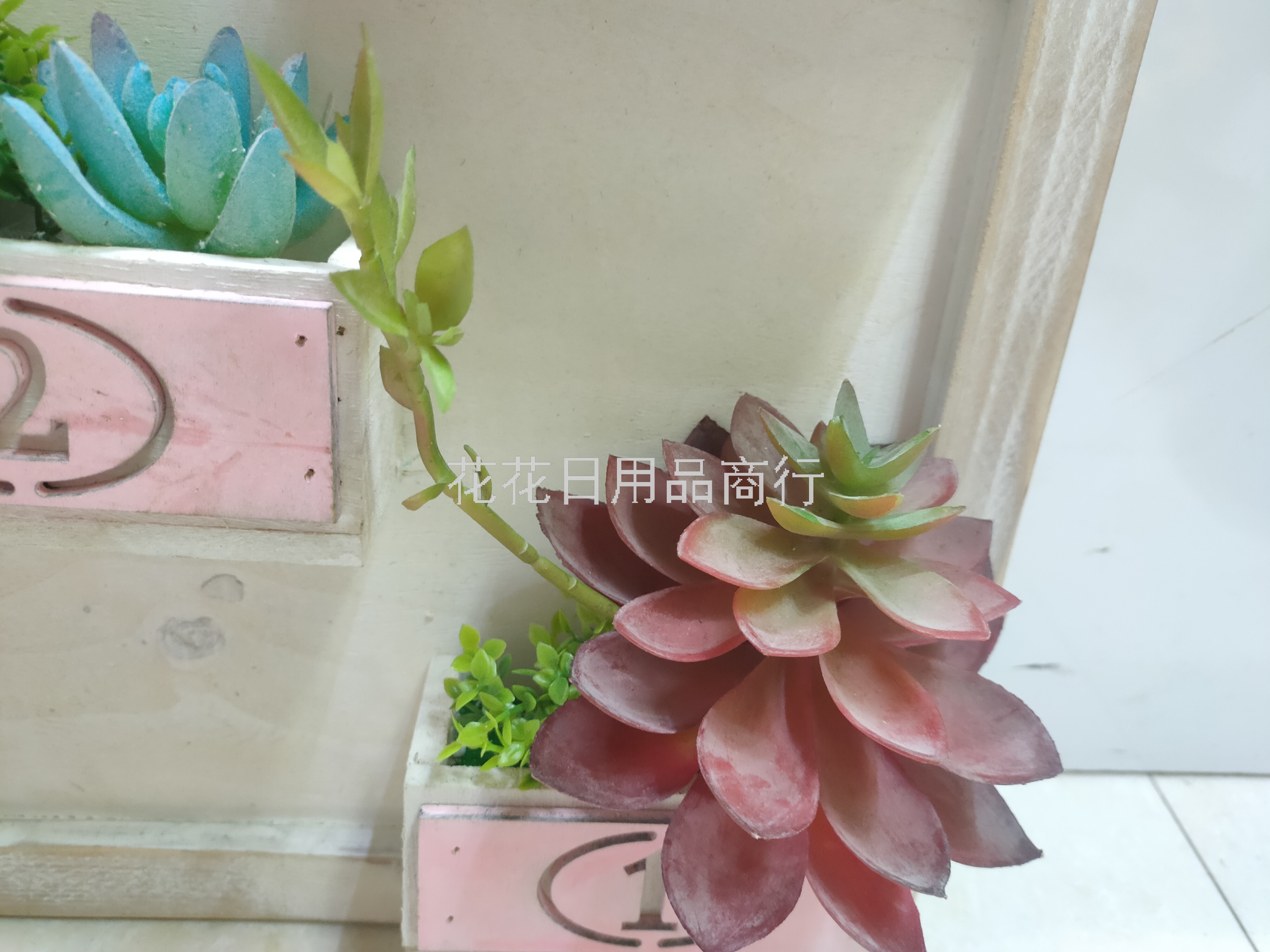 仿真植物实物图