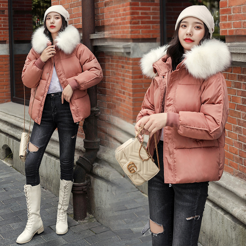 New winter cotton-padded jacket, thickened cotton-padded jacket, down cotton-padded jacket for women, short Korean-style fitted hooded bread jacket details Picture