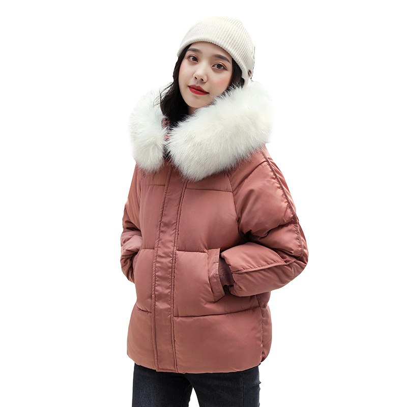 New winter cotton-padded jacket, thickened cotton-padded jacket, down cotton-padded jacket for women, short Korean-style fitted hooded bread jacket Specification image