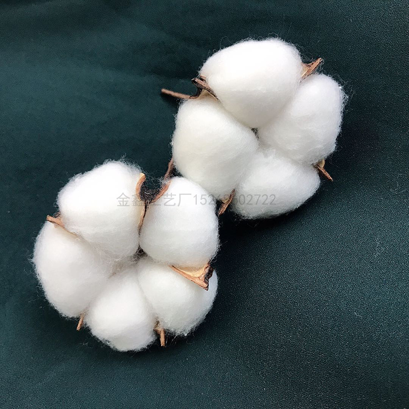 仿真棉花头带杆天然棉花干花永生花店用品婚车花环圣诞烘焙装饰花