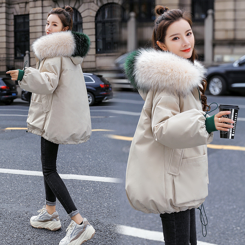 2020 Winter New coat, cotton-padded jacket, Korean-style large fur collar, cinched waist, loose and thick cotton-padded jacket for women C8803 Application Scenario