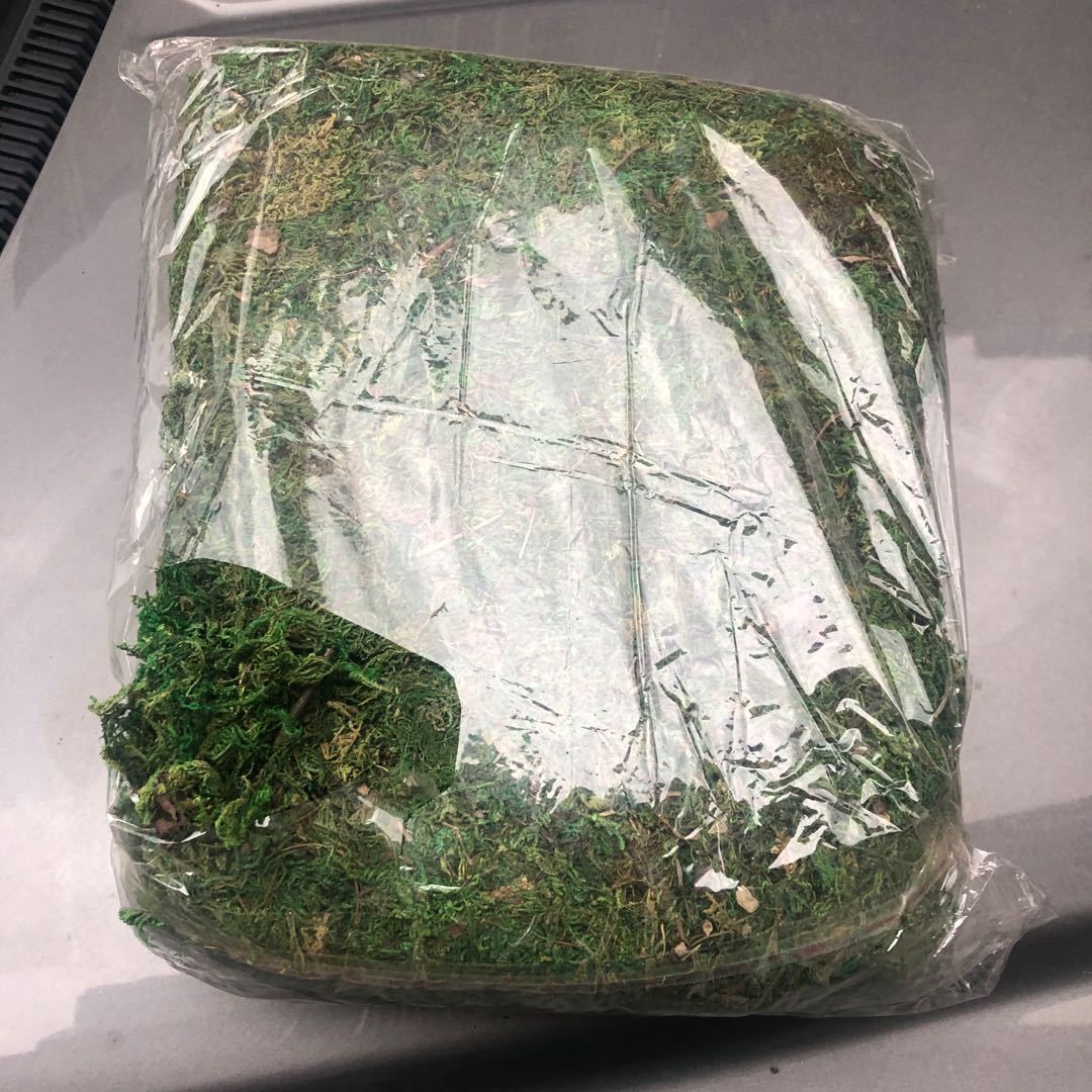 Artificial flowers, artificial lawns, artificial trees, artificial flowers, artificial lawns, artificial tree trunks, water moss, fresh moss, artificial green moss, bonsai, decorative landscaping, green moss, moss grass, artificial flowers, artificial lawns, artificial trees Item Picture