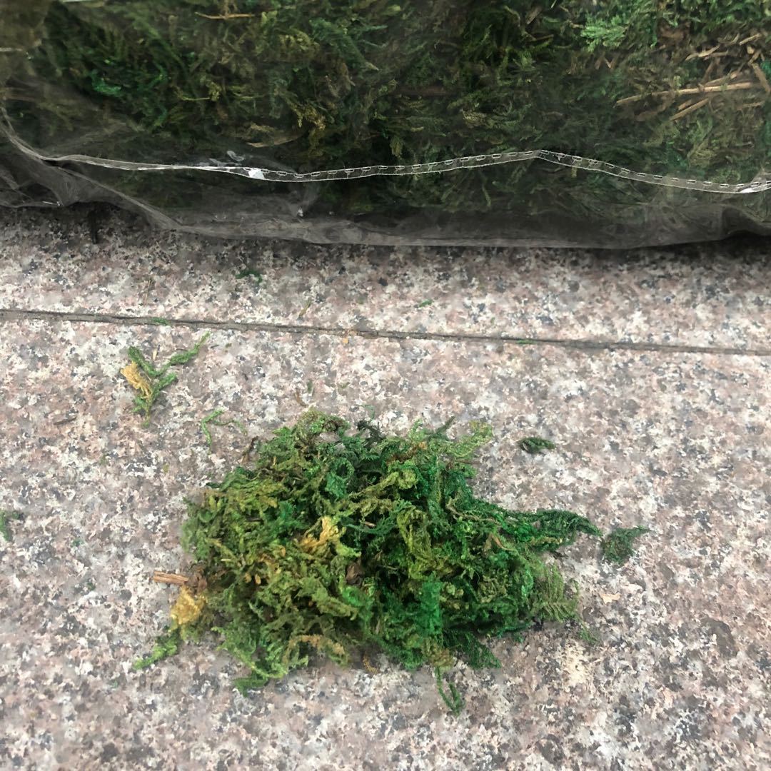 Artificial flowers, artificial lawns, artificial trees, artificial flowers, artificial lawns, artificial tree trunks, water moss, fresh moss, artificial green moss, bonsai, decorative landscaping, green moss, moss grass, artificial flowers, artificial lawns, artificial trees Specification image