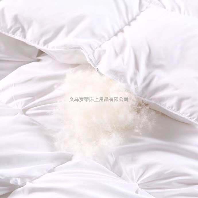Five-star hotel down quilt, 95 white goose down winter quilt, duck down quilt core, single and double thickened, warm winter Application Scenario