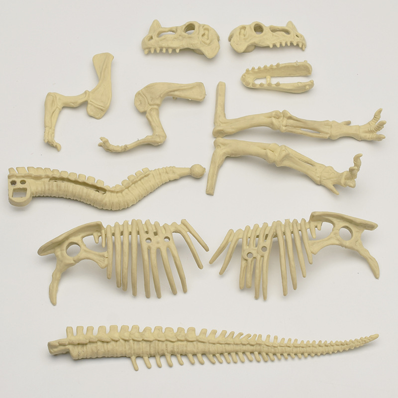 Assembled skeleton simulation dinosaur toy model, DIY dinosaur excavation, dinosaur fossil archaeological excavation toy set Specification drawing