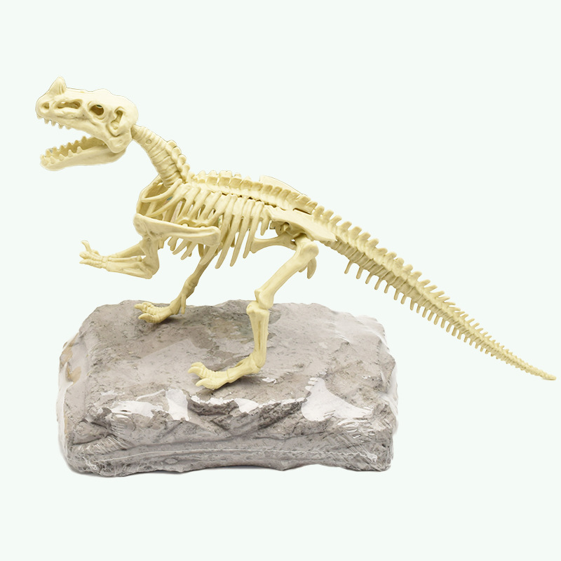 Assembled skeleton simulation dinosaur toy model, DIY dinosaur excavation, dinosaur fossil archaeological excavation toy set Item Picture