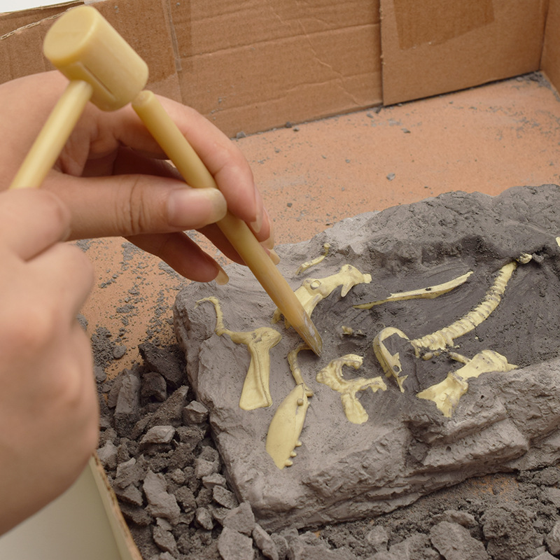 Assembled skeleton simulation dinosaur toy model, DIY dinosaur excavation, dinosaur fossil archaeological excavation toy set details Picture