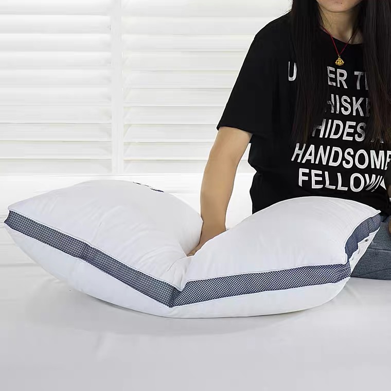 All-cotton feather and velvet pillow core embroidery single-person student pillow embroidery washable high-end feather and velvet pillow