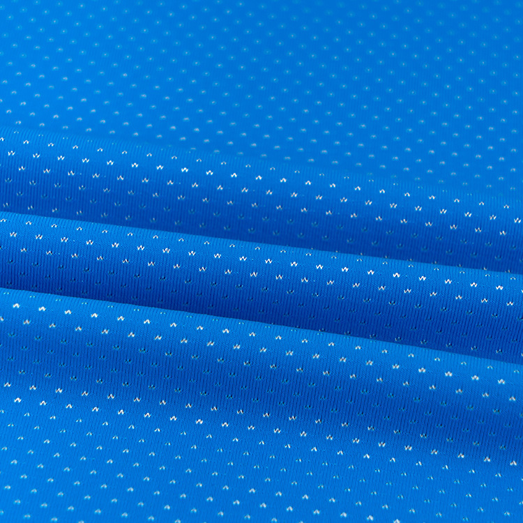 Nylon jacquard dot Lycra fabric, elastic spandex fabric for underwear, swimsuits, sports shoes and accessories details Picture