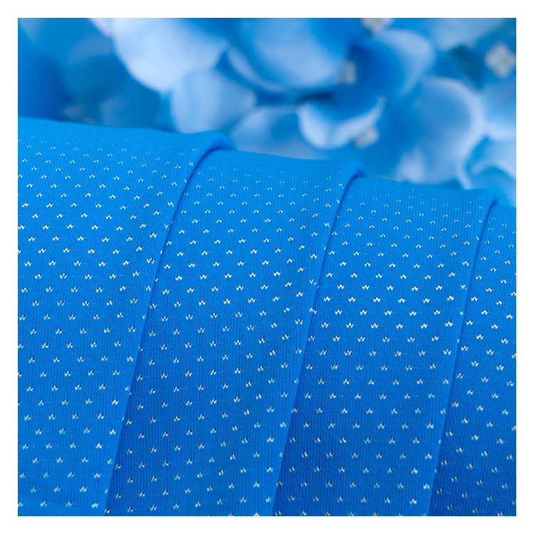 Nylon jacquard dot Lycra fabric, elastic spandex fabric for underwear, swimsuits, sports shoes and accessories Specification image
