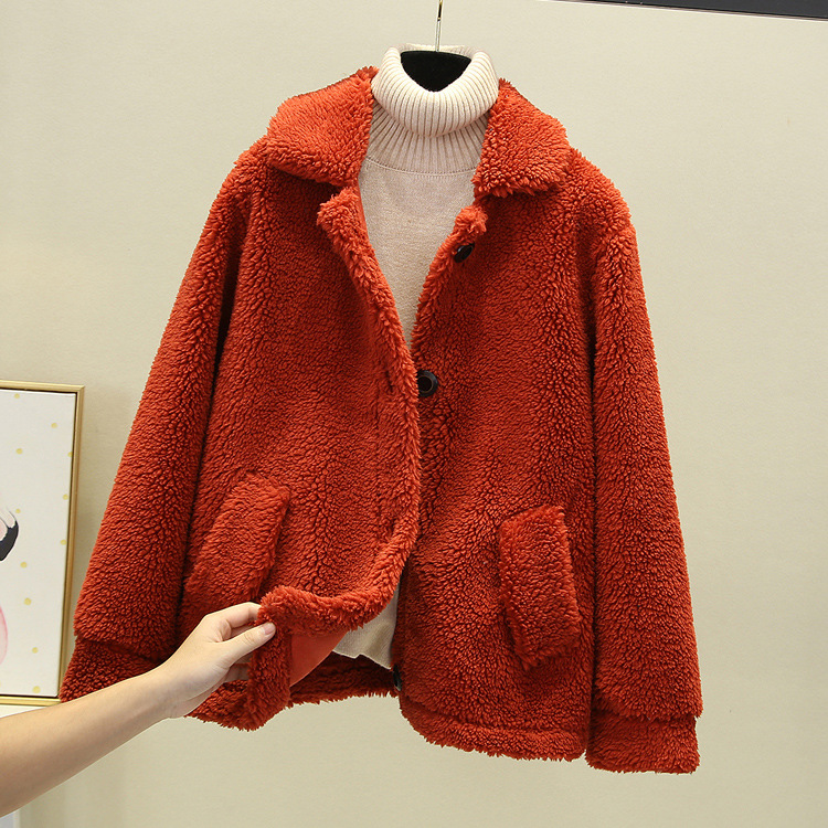 A new autumn and winter casual lambskin plush fur coat for women, a short Korean-style granular fleece warm top details Picture