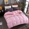 ywxuege Snow Pigeon bedding New Feather Velvet Winter Quilt Warm Quilt Core Dragonfly - Pink 2 details Picture