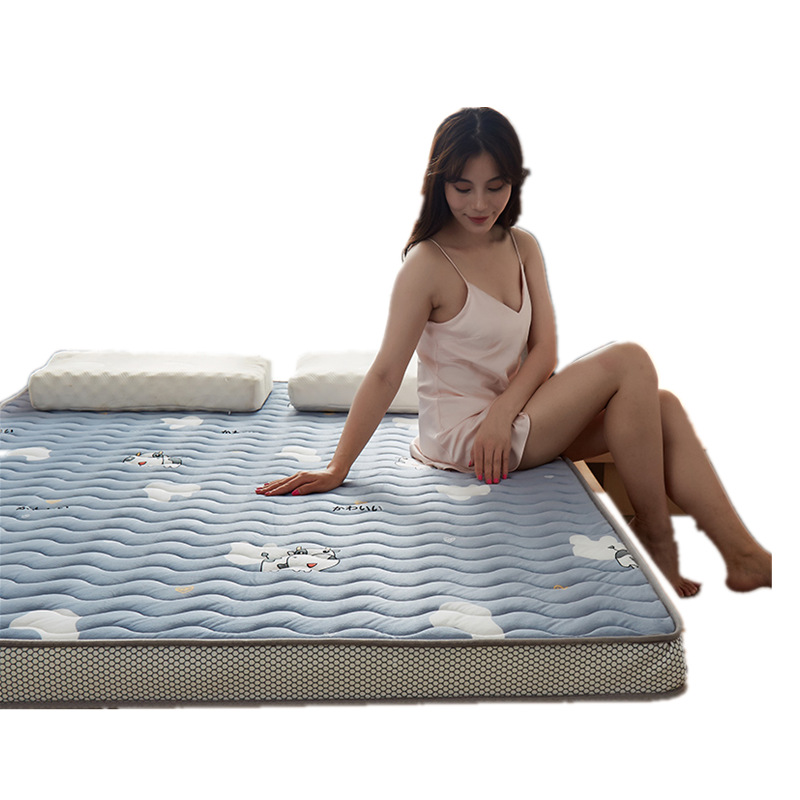 Three-dimensional quilted crystal velvet milk velvet mattress thickened autumn and winter warm student mattress Magical dream Item Picture