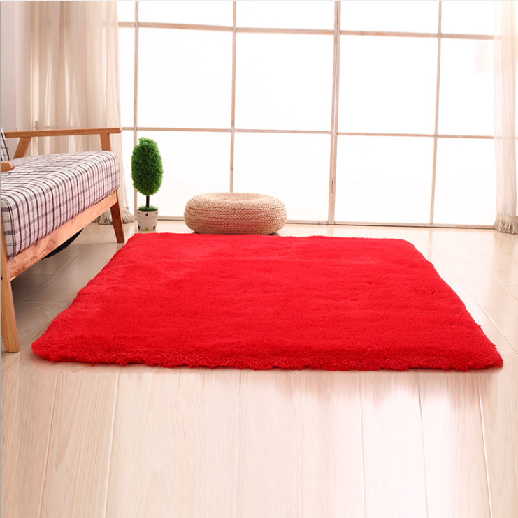 家用地毯实物图