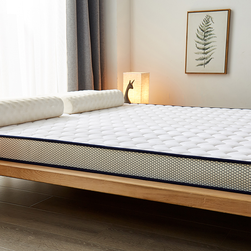 Three-dimensional quilted crystal velvet milk velvet mattress thickened warm student mattress Magical dream Specification image