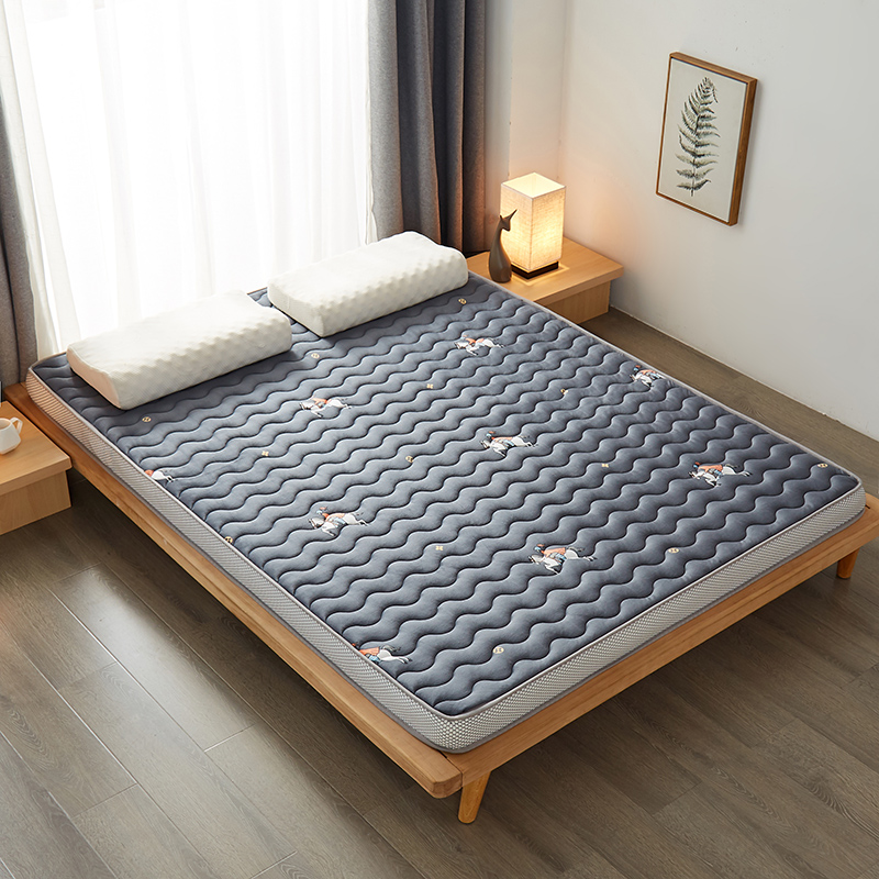 Three-dimensional quilted crystal velvet milk velvet mattress thickened autumn and winter warm student mattress Specification image