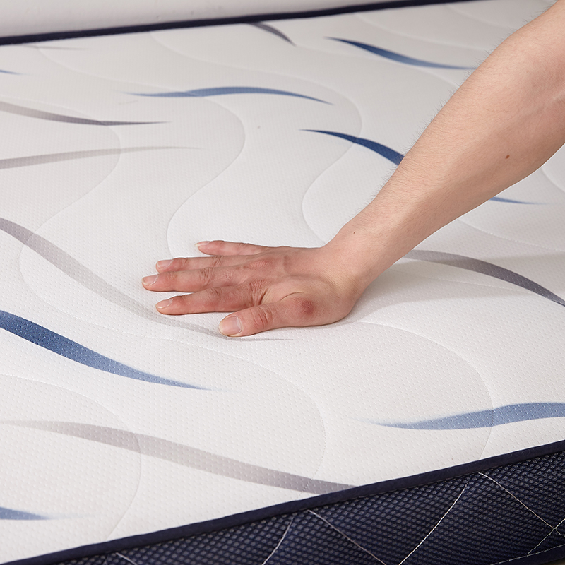 Best-selling student dormitory mattresses: thin hard cotton mattresses and tatami mattresses Item Picture