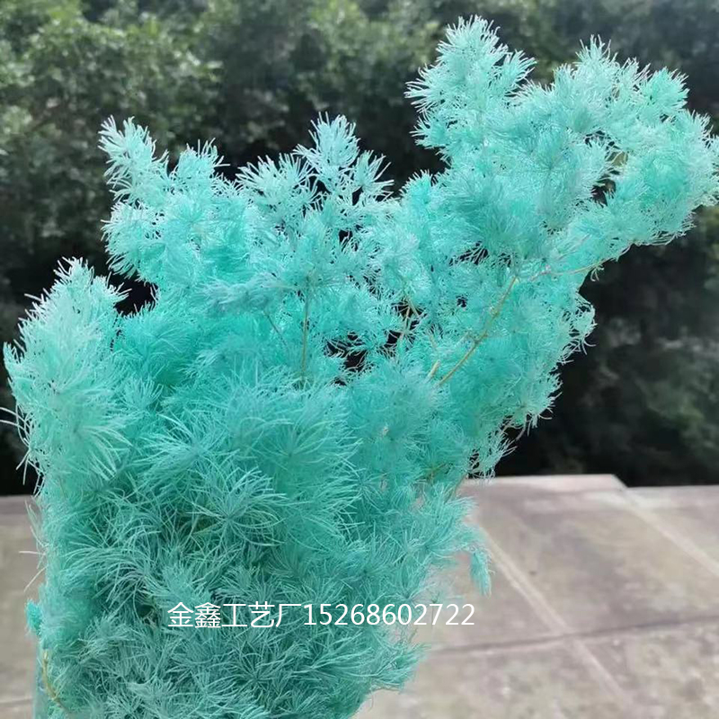 厂家直销 永生花蓬莱松干花DIY插花资材礼盒配件花艺点缀婚庆花束
