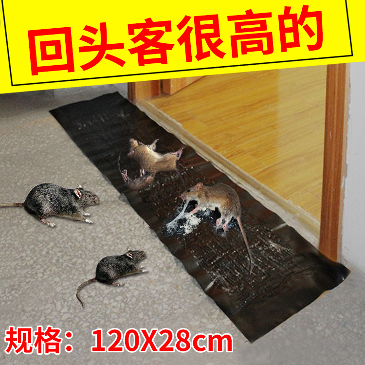 344 灭鼠魔毯老鼠贴粘鼠板 家用捕鼠器抓老鼠厂家批发