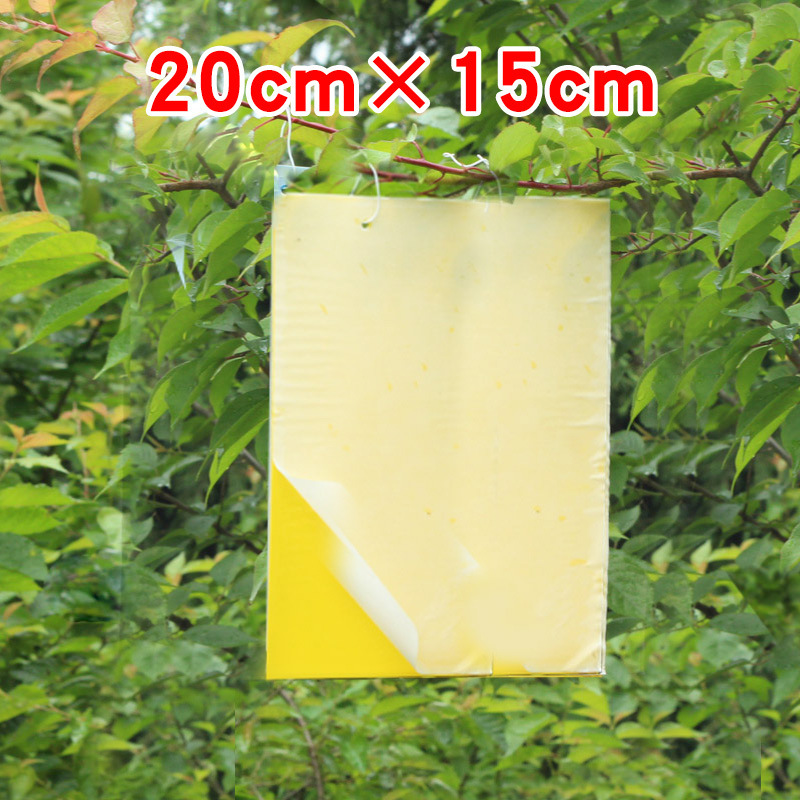 735 双面粘虫板诱虫板黄板大棚茶园果园温室园艺防虫园林专业20*15cm