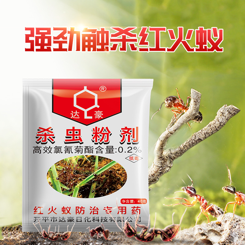597 达豪 红火蚁 专用药 红蚂蚁药 杀虫粉剂 触杀型 40克/袋