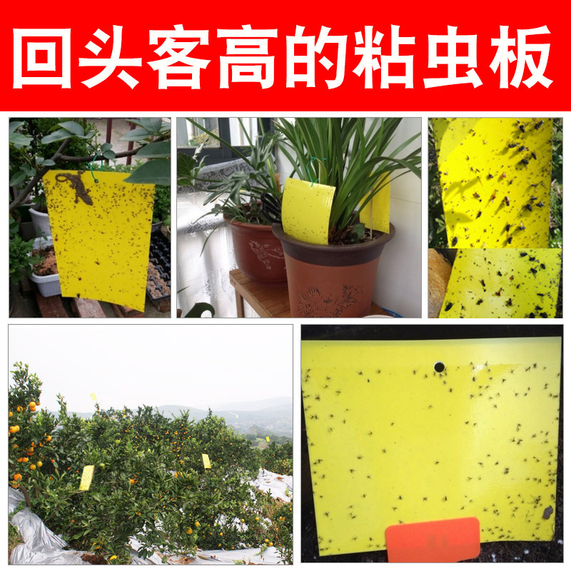 温室、大棚实物图