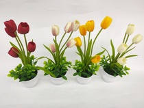 New white pot tulip simulation flower bonsai plastic flower living room decoration