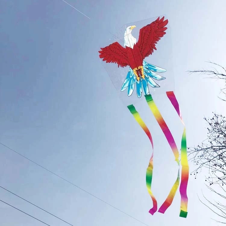 The new type of fishing rod kite telescopic fishing rod is fun, interesting and colorful outdoors. It is sold directly by the manufacturer at the street stall and is selling well Application Scenario