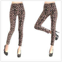Classic fashion big leopard print leggings foreign trade nine points wholesale pants