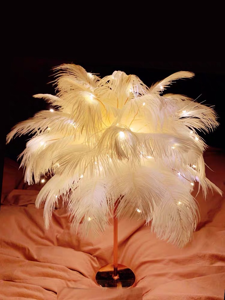 ins girl Heart remote control romantic ostrich feather lamp Night light Room Bedroom small gift Atmosphere Internet celebrity Application Scenario