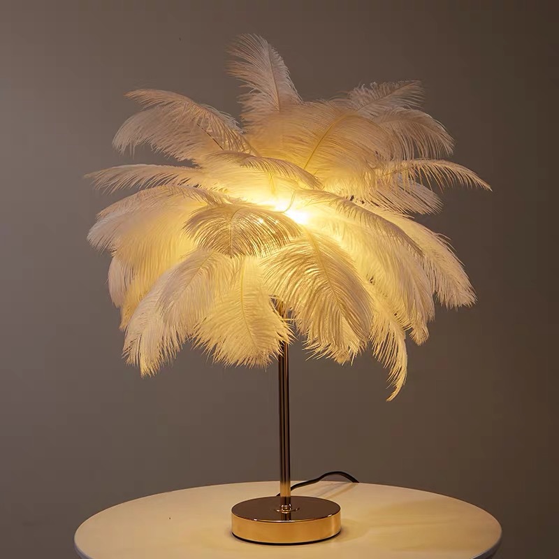 ins girl Heart remote control romantic ostrich feather lamp Night light Room Bedroom small gift Atmosphere Internet celebrity details Picture