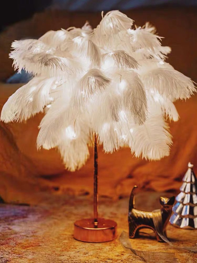 ins girl Heart remote control romantic ostrich feather lamp Night light Room Bedroom small gift Atmosphere Internet celebrity