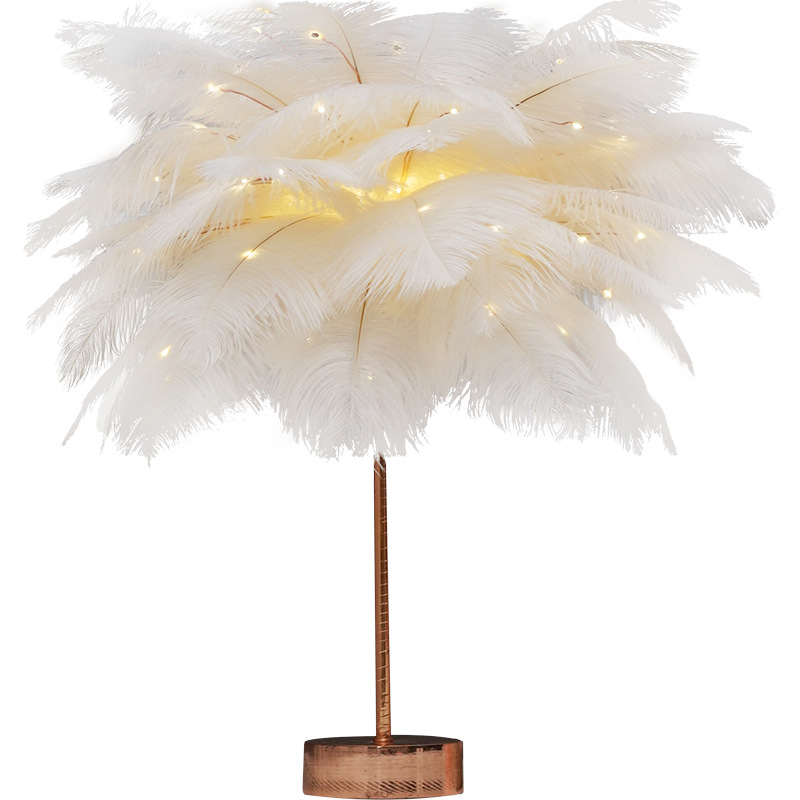 ins girl Heart remote control romantic ostrich feather lamp Night light Room Bedroom small gift Atmosphere Internet celebrity Item Picture