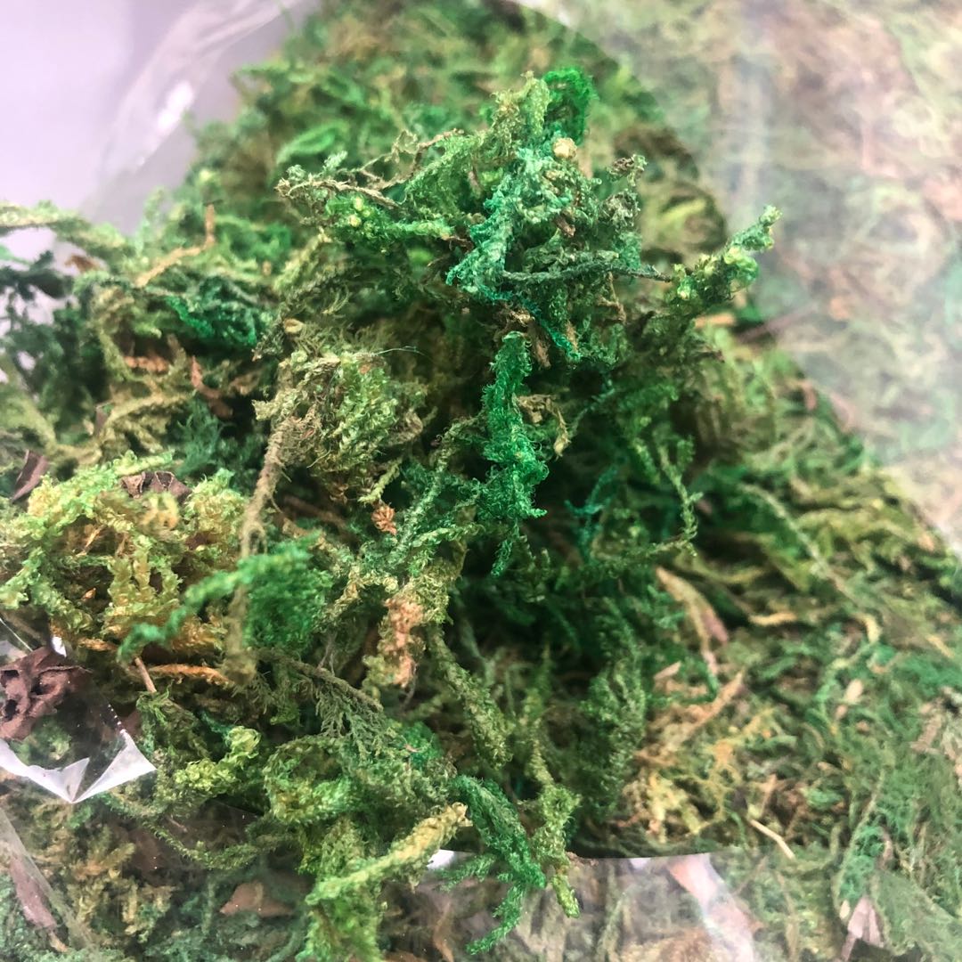 Artificial moss, artificial decorative grass, artificial dry grass, moss, true moss, dead grass, artificial plant, mountain vine Application Scenario